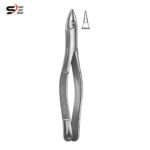 Extracting Forceps American pattern - 002