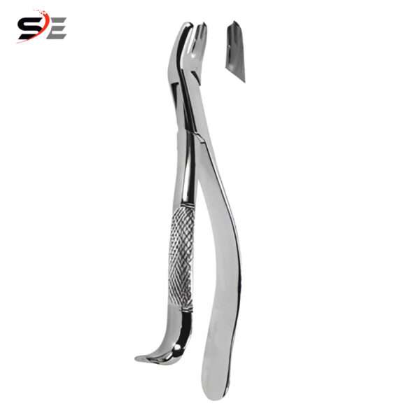 Extracting Forceps American pattern - 003