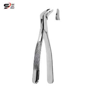 Extracting Forceps American pattern - 005