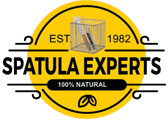 Spatula Experts